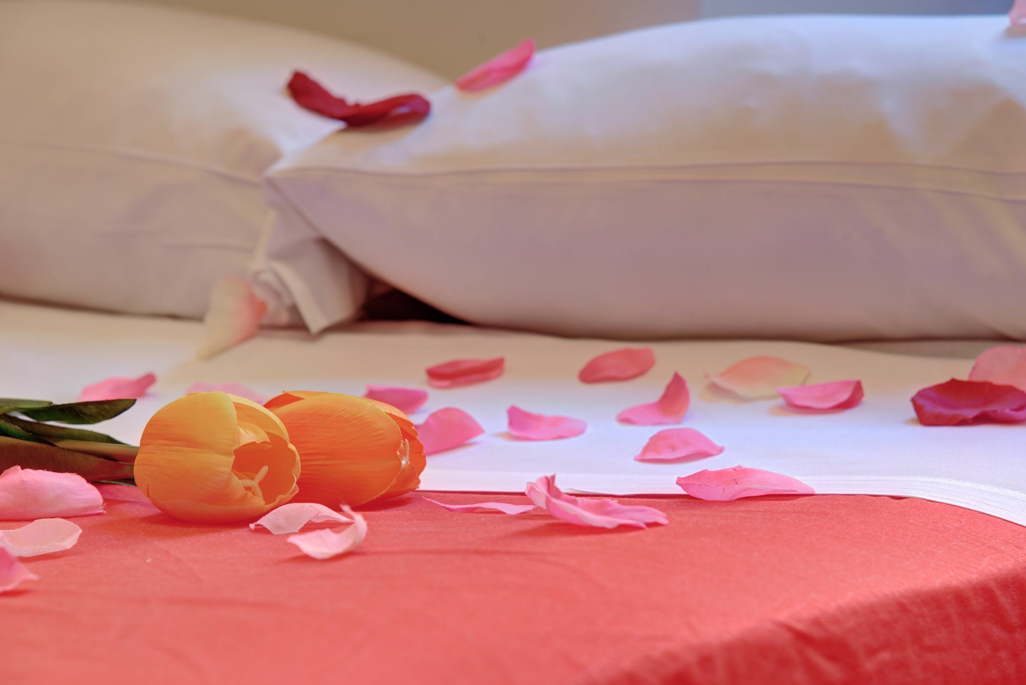Ad Hoc Guest House โรม ภายนอก รูปภาพ