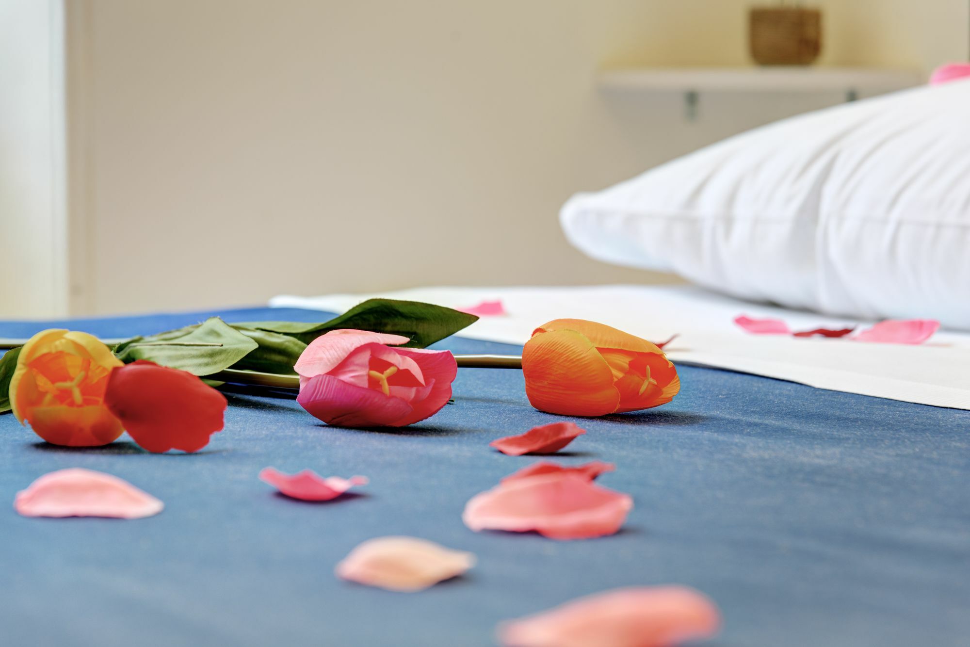 Ad Hoc Guest House โรม ภายนอก รูปภาพ